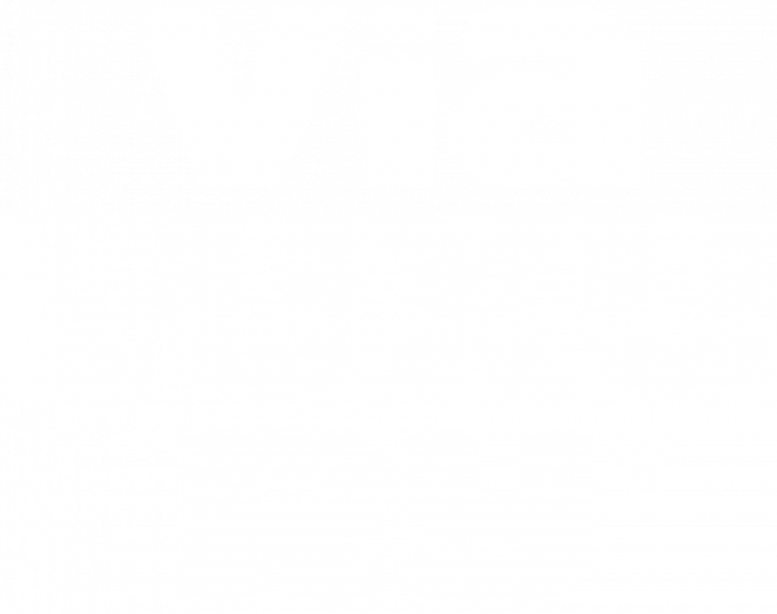 ViaLuxury logo